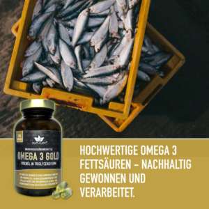 omega 3 hochdosiert