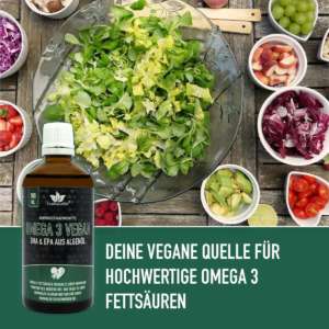 omega 3 vegan