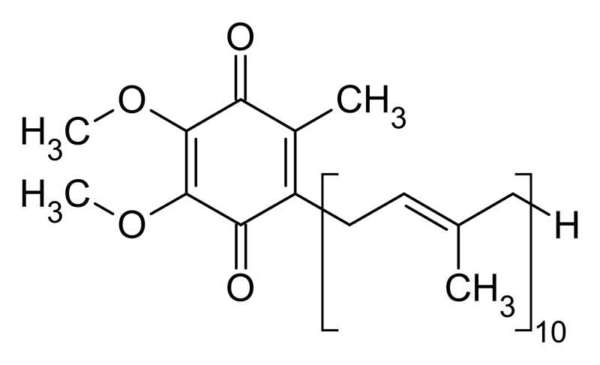 coenzym q10 