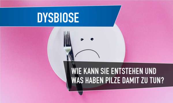 dysbiose ursachen