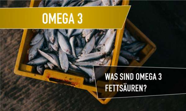 omega 3 definition