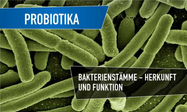 bakterienstämme probiotika