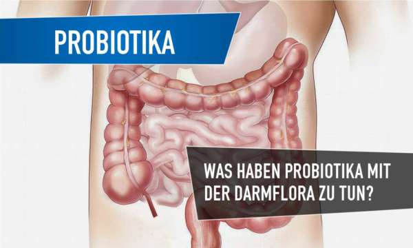 probiotika darmflora