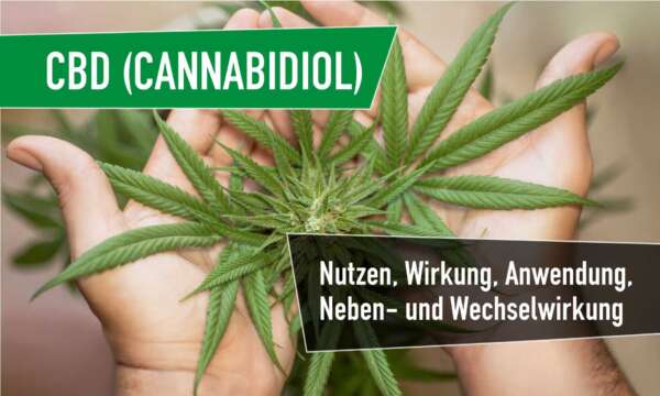 cbd wirkung
